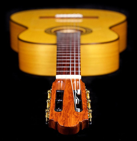 2018 Marlon Navarro Alvarez "Student Flamenco" SP/CY