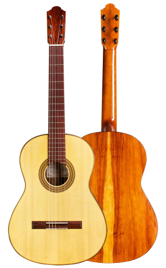 2015 Marlon Navarro Alvarez "Student Flamenco Negra with pegs" SP/PE