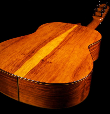 2015 Marlon Navarro Alvarez "Student Flamenco Negra with pegs" SP/PE