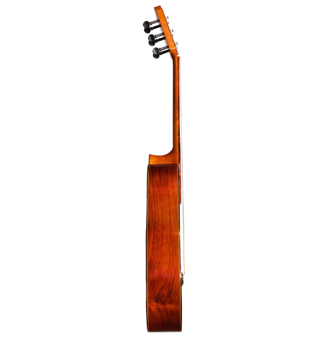 2015 Marlon Navarro Alvarez "Student Flamenco Negra with pegs" SP/PE