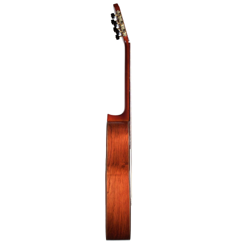 2019 Marlon Navarro Alvarez "Student Flamenco Negra" SP/PE