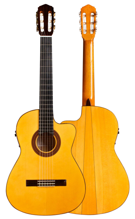 2018 Felipe Conde "FP 14" (cutaway electric) SP/CY 2018 Felipe Conde "FP 14" (cutaway electric) SP/CY