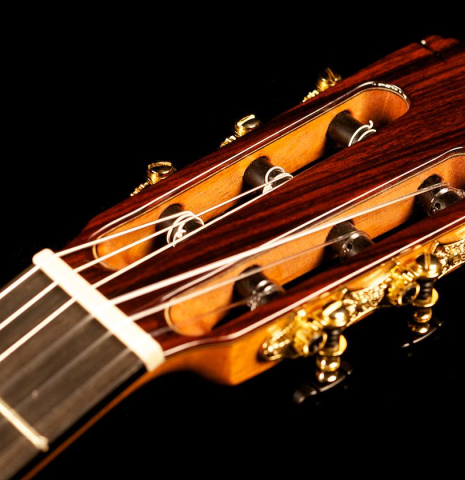 The headstock of a Cordoba &quot;FCWE Reissue&quot; made of spruce and cypress