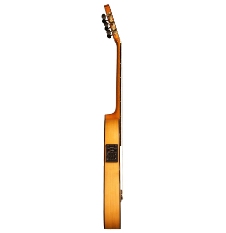The side of a Cordoba &quot;FCWE Reissue&quot; made of spruce and cypress