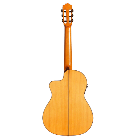 The back of a Cordoba &quot;FCWE Reissue&quot; made of spruce and cypress