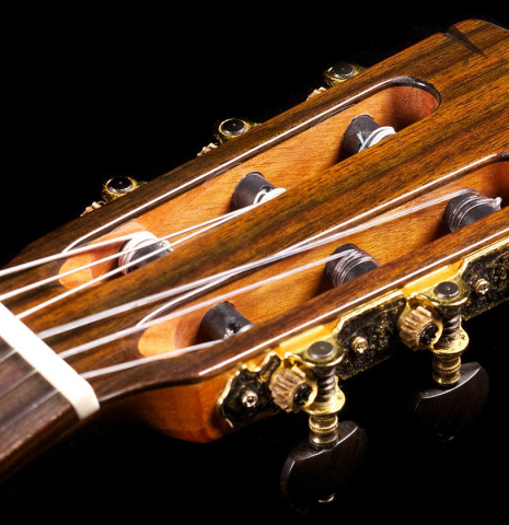 The headstock of a Cordoba &quot;GK Studio Negra&quot; electric/acoustic guitar made of spruce and Indian rosewood