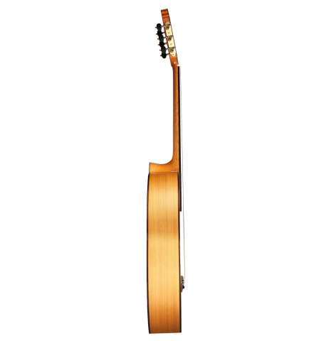 Cordoba Guitars Master Series "Reyes" SP/CY