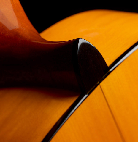 The heel, back binding and purfling of a 2012 Lester DeVoe w/pegs flamenco guitar made of spruce and cypress
