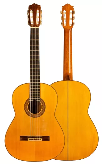 2024春の新作 1964 GSI | Guitar SP/CY Fernandez Arcangel ギター