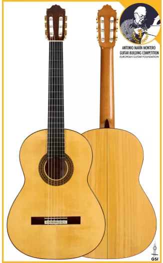 The Spanish Guitar 1750-1950 by Françoise de Ridder, Daniel Sinier