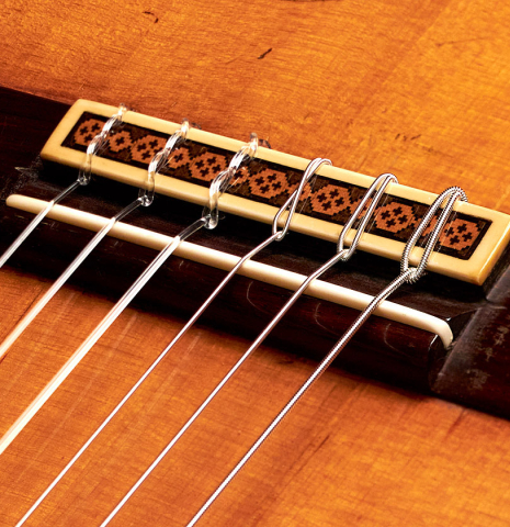 The bridge and saddel of a rare 1962 Daniel Friederich "Flamenco blanca" guitar made of spruce and cypress