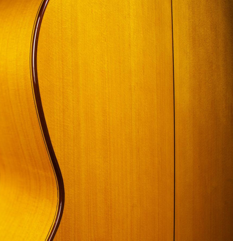 2012 Francisco Navarro Garcia "Student Flamenco" SP/CY