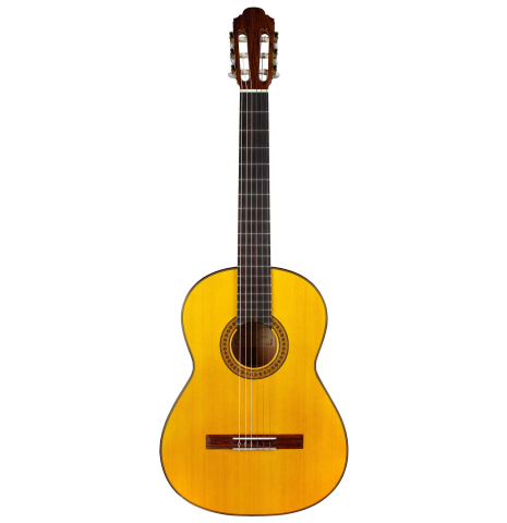2012 Francisco Navarro Garcia "Student Flamenco" SP/CY