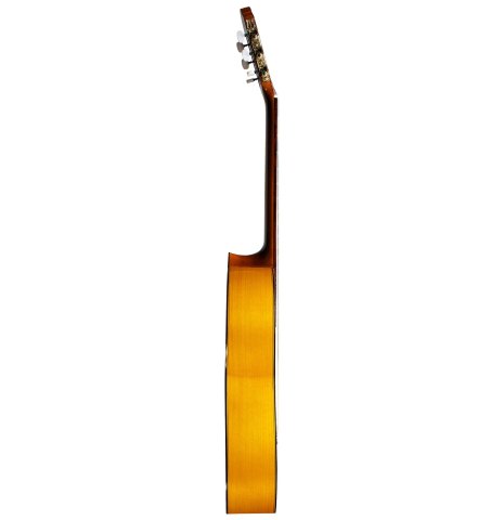 2012 Francisco Navarro Garcia "Student Flamenco" SP/CY