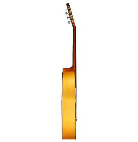 2013 Francisco Navarro Garcia "Student Flamenco" SP/CY