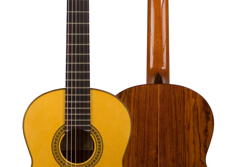 2011 Francisco Navarro Garcia "Student Flamenco" SP/PE