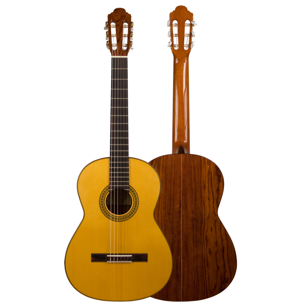2011 Francisco Navarro Garcia "Student Flamenco" SP/PE