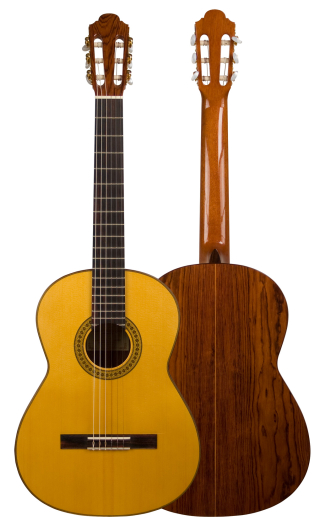 2011 Francisco Navarro Garcia "Student Flamenco" SP/PE
