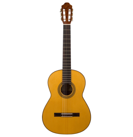 2011 Francisco Navarro Garcia "Student Flamenco" SP/PE