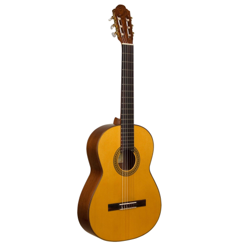 2011 Francisco Navarro Garcia "Student Flamenco" SP/PE