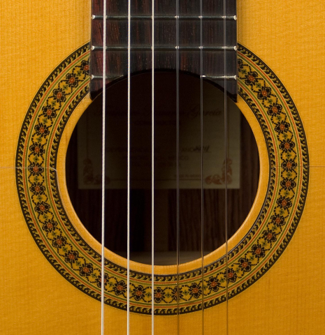 2011 Francisco Navarro Garcia "Student Flamenco" SP/PE