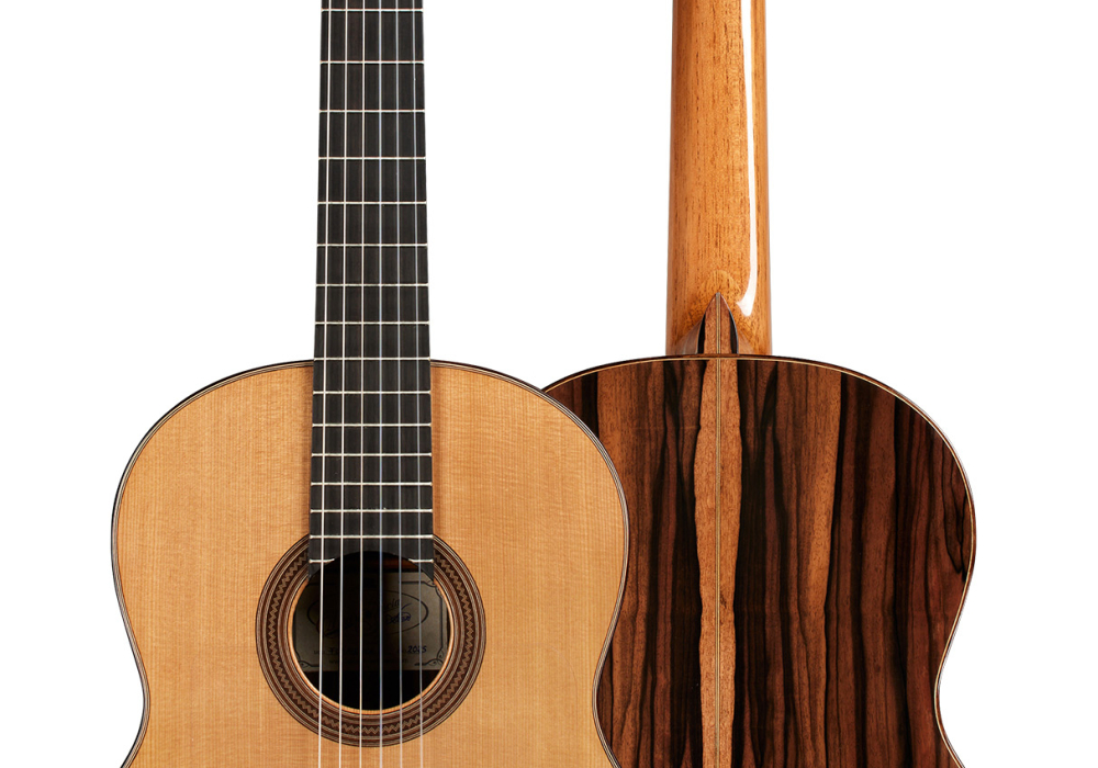 2025 Darío García "Flamenco Negra" SP/KA