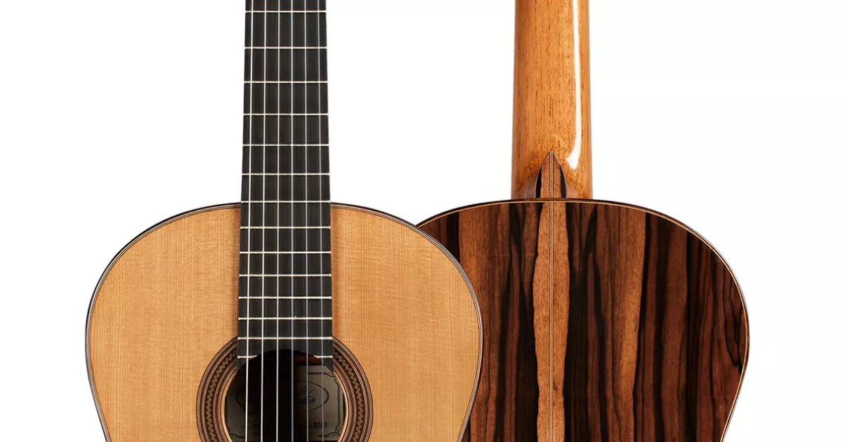 P.Flamenco （TC） 2025 Darío García 