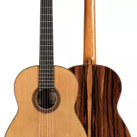 P.Flamenco （TC） Dario-Garcia-flamenco-guitar-