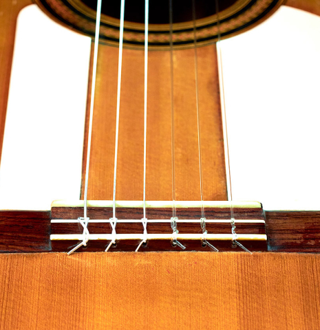 The bridge, nylon strings, and tap plates of a 1922 Santos Hernandez flamenco guitar with pegs made of spruce and cypress.