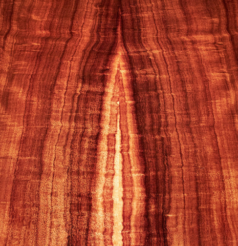The back of a 2023 Wolfgang Jellinghaus "Flamenca Negra" flamenco guitar with spruce and Granadillo.
