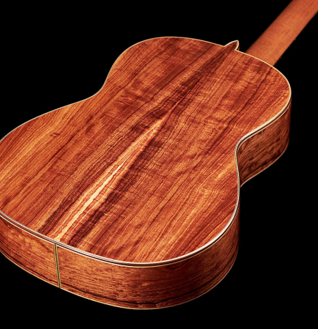The back of a 2023 Wolfgang Jellinghaus "Flamenca Negra" flamenco guitar with spruce and Granadillo.