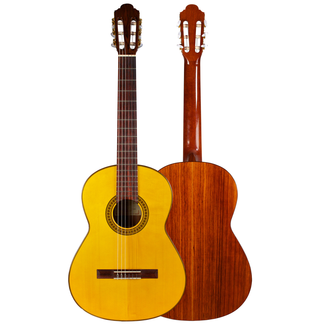 2011 Francisco Navarro Garcia "Student Flamenco" SP/PE