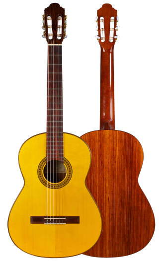 2011 Francisco Navarro Garcia "Student Flamenco" SP/PE