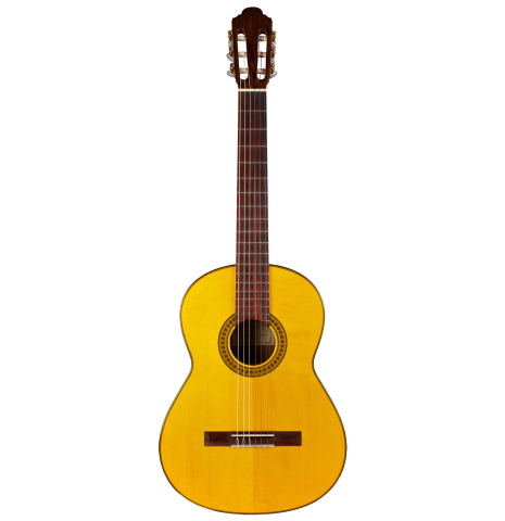 2011 Francisco Navarro Garcia "Student Flamenco" SP/PE