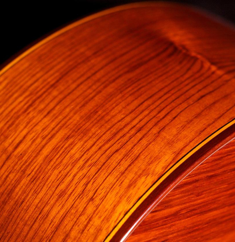 2012 Francisco Navarro Garcia "Student Flamenco" SP/PE