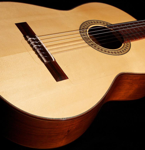 2012 Francisco Navarro Garcia "Student Flamenco" SP/PE