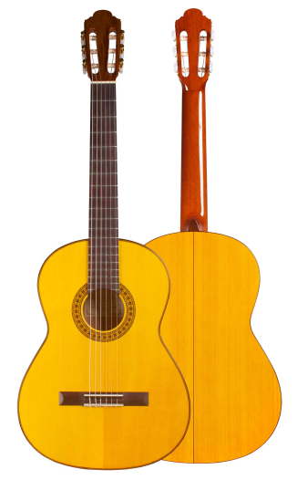 2010 Francisco Navarro Garcia "Student Flamenco" SP/CY