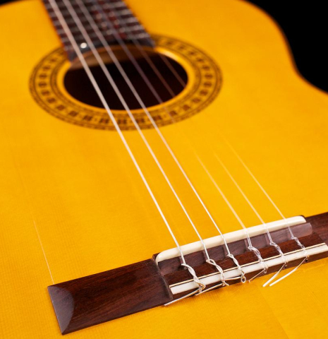 2010 Francisco Navarro Garcia "Student Flamenco" SP/CY