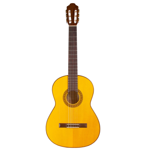 2010 Francisco Navarro Garcia "Student Flamenco" SP/CY
