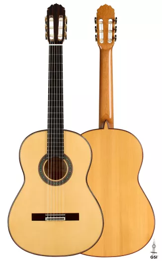 2024 Julia Wenzel CD/AR Guitar | GSI
