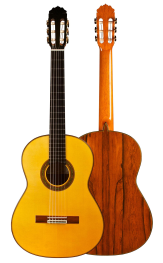 2013 Teodoro Perez "Flamenco Negra" SP/AR