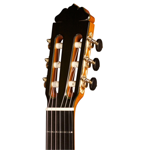 2013 Teodoro Perez "Flamenco Negra" SP/AR