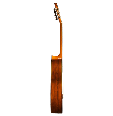 2013 Teodoro Perez "Flamenco Negra" SP/AR