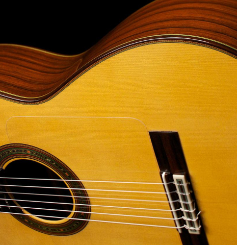 2012 Teodoro Perez "Flamenco Negra" SP/AR