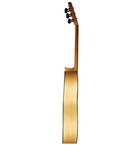 2012 Erez Perelman SP/CY