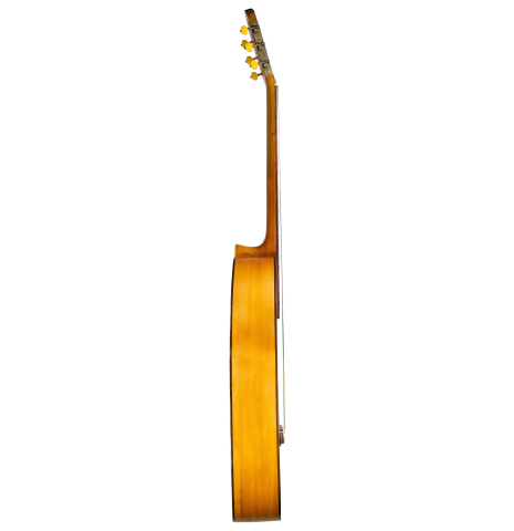 The side of a c. 1912 Manuel Ramirez flamenco guitar made with spruce and cypress