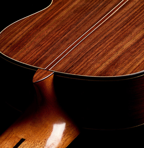 The heel, back binding and purfling of a 2025 Rojas &amp; Sanzol "10-string" classical guitar made of cedar and Indian rosewood