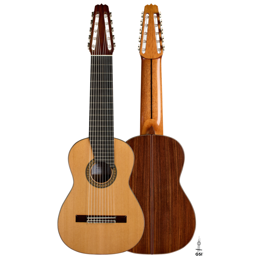2025 Rojas & Sanzol "10-string" CD/IN