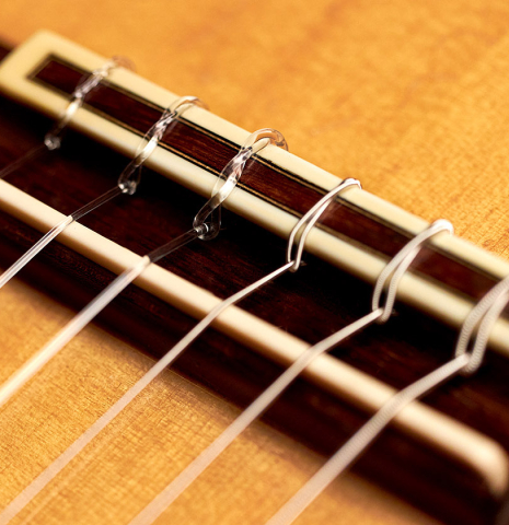 The bridge of a 1967 "Jose" David Rubio "Blanca" flamenco guitar with traditional pegs made of spruce and cypress