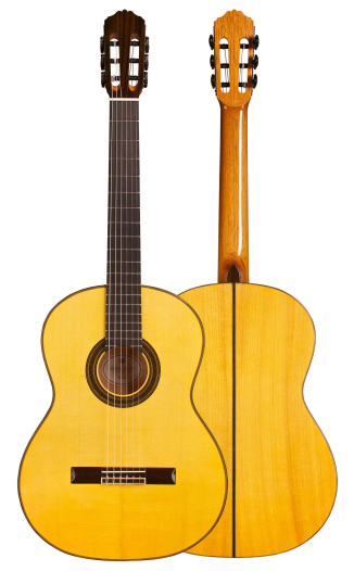 Guitar Salon "Studio Series" FC-100 SP/CY